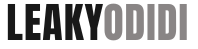 LEAKYODIDI SALOON